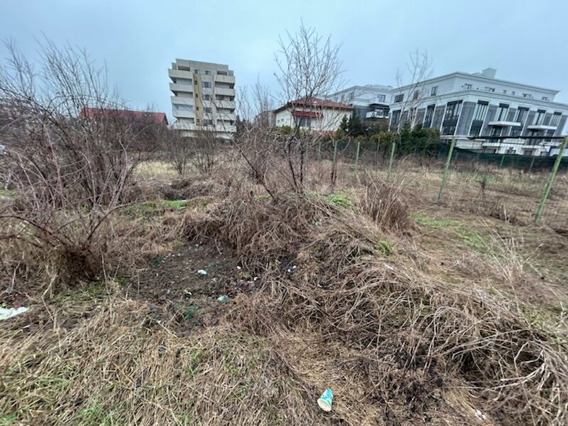 Sisesti, Drumul Regimentului, stradal, 1250 mp, D29, posibilitate P+2+m.